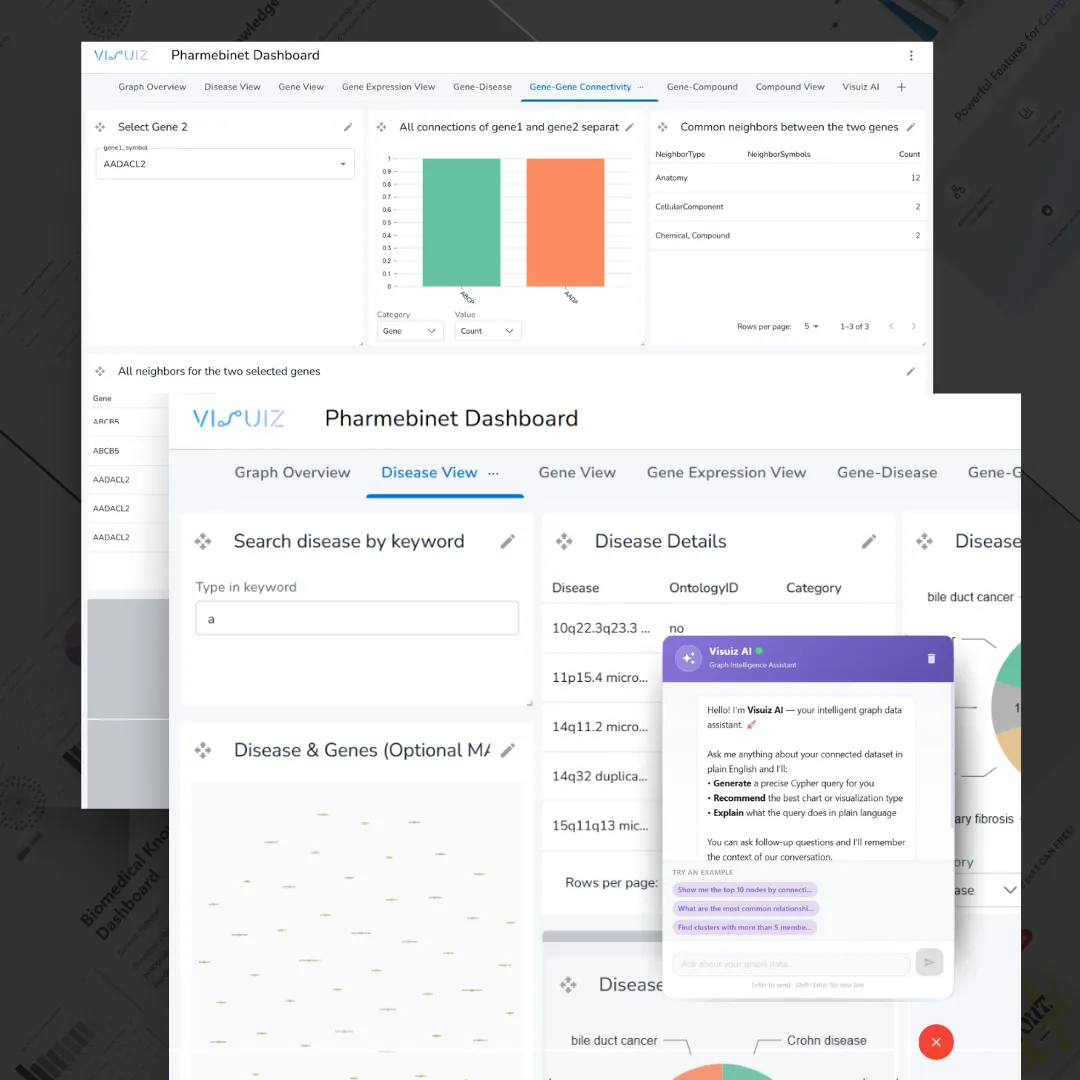 Visuiz | Grafanalys