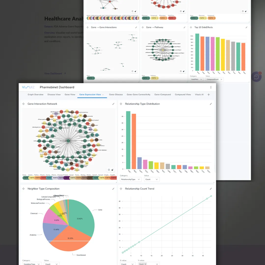 Visuiz | Grafanalys