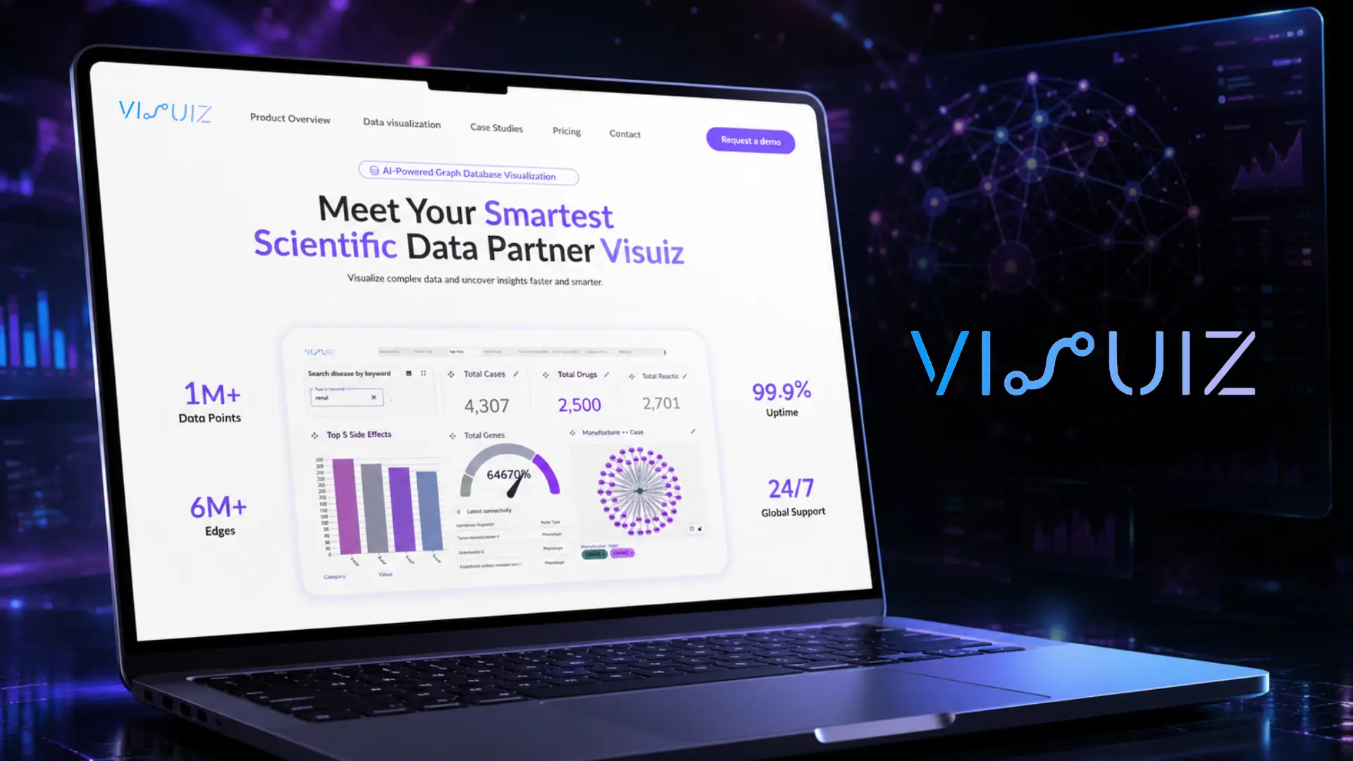 Visuiz | Grafanalys